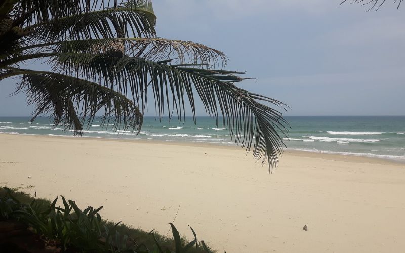 plage lang co