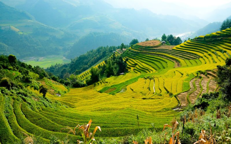 Meilleure période pour un voyage au Vietnam et Cambodge en 2026