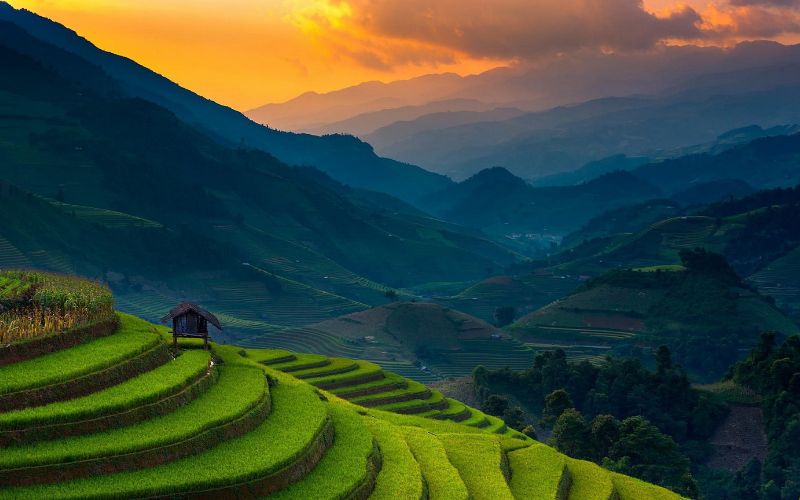 Meilleure période pour visiter Mu Cang Chai : quand partir selon les saisons ?