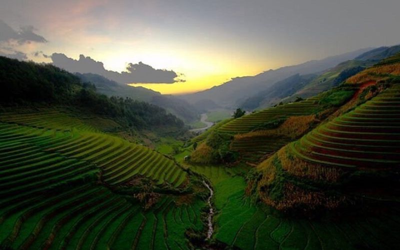 Top 7 des spécialités culinaires de Mu Cang Chai à ne pas manquer