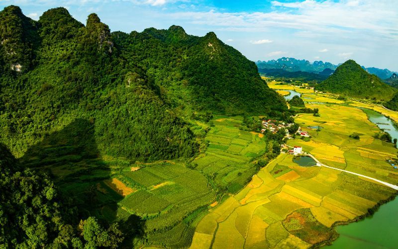 Itinéraire nord Vietnam 12 jours : rizières en terrasses et cols mythiques