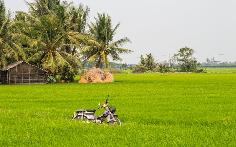 Campagne de Tra Vinh