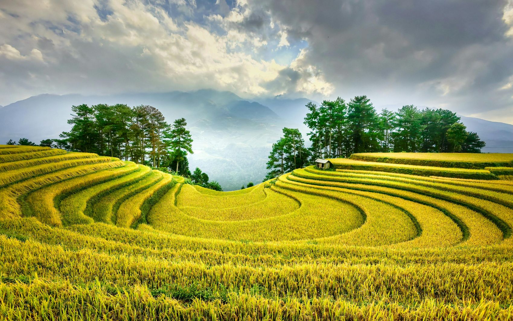 Voyage au Nord du Vietnam en 2026