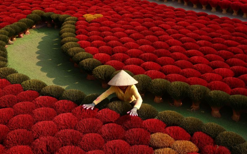 10 jours au Vietnam : que visiter et quels itinéraires choisir ?