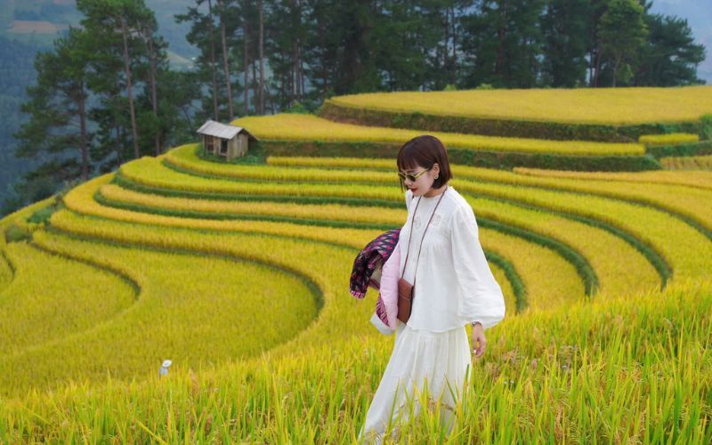 Mu Cang Chai et Lai Chau