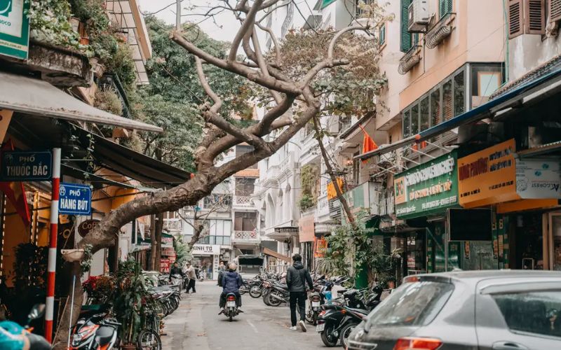 Nord du Vietnam en d&eacute;cembre