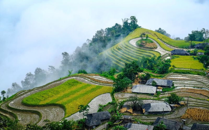 Vietnam en décembre : météo, conseils et idées de voyage