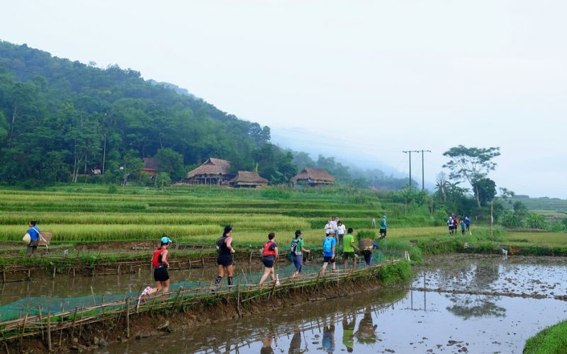 Voyager au Vietnam en f&eacute;vrier