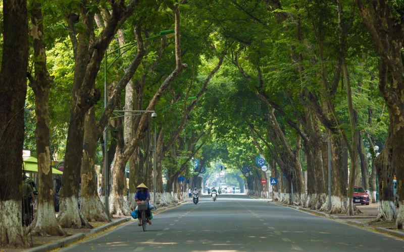 Nord du Vietnam en juillet