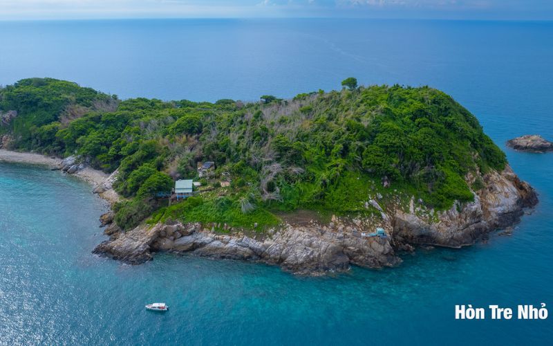 Quand observer les tortues marines &agrave; Con Dao ?