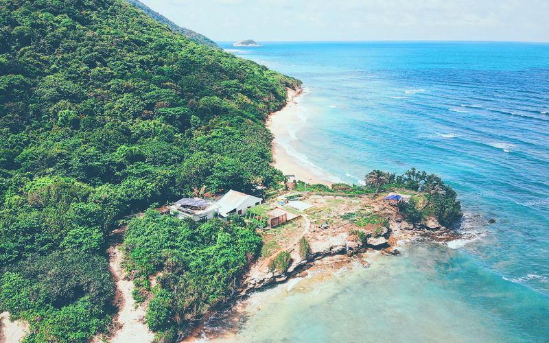 Voyage responsable à Con Dao : à la découverte des tortues marines