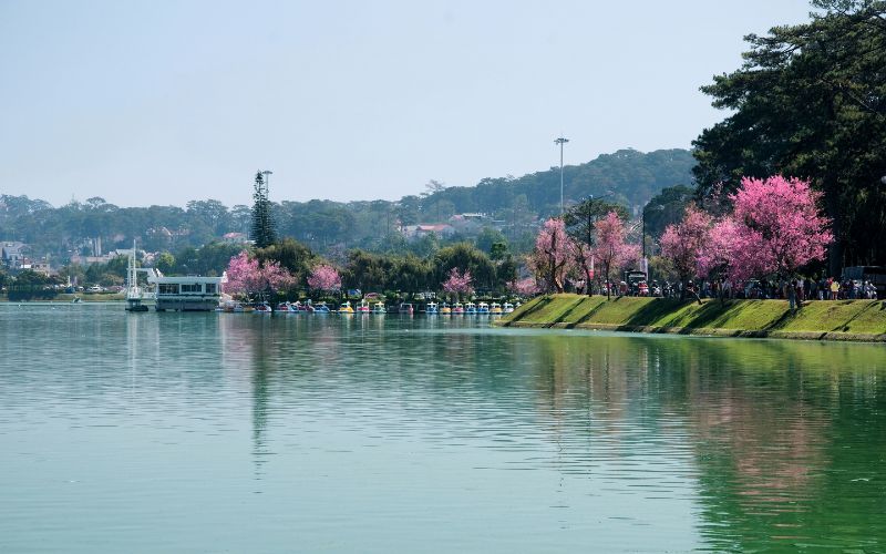 Da Lat - la ville la plus romatique du Vietnam