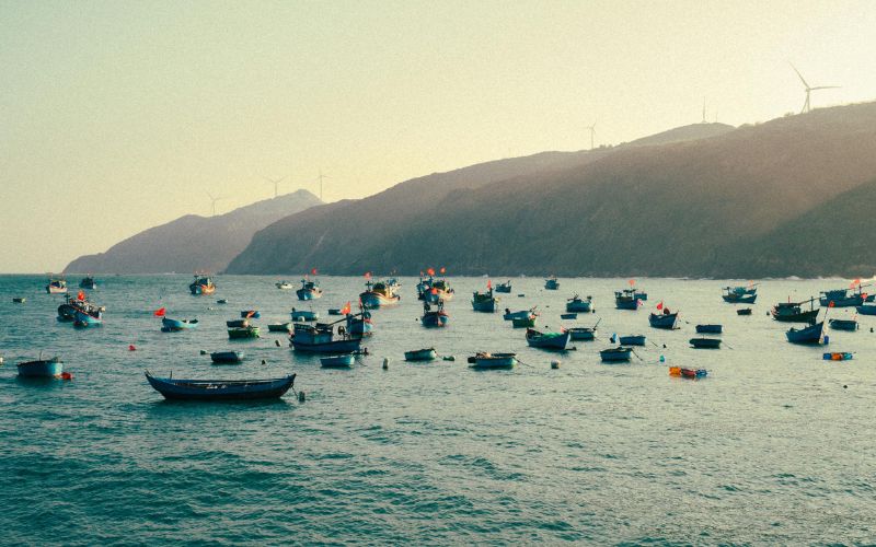 Quy Nhon
