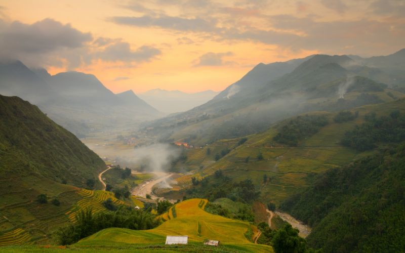 Sapa