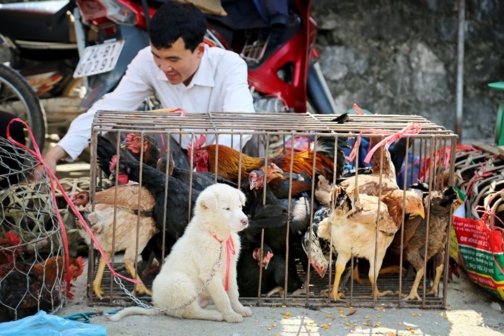 Authentic Vietnam – 19 days