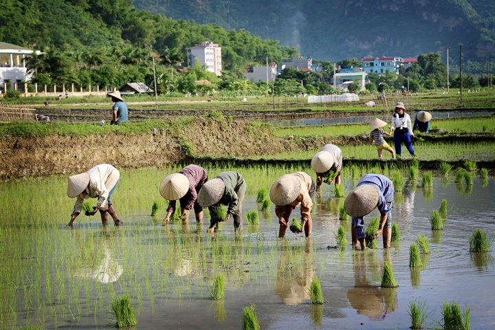 Vietnam panorama – 14 days