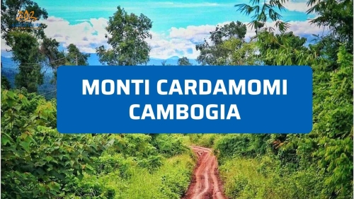 Monti Cardamomi Cambogia: guida tra giungla e trekking