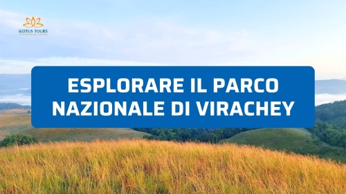 Esplorare il Parco Nazionale di Virachey: Trekking Estremo nella Giungla del Nord-Est