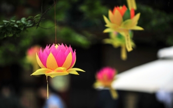 Scopri la Vietnam religione