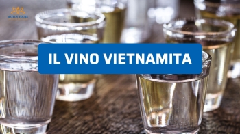 Vino vietnamita: storia, regioni e perché sta sorprendendo
