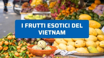 Frutti Esotici del Vietnam: Quali Assaggiare nei Mercati e Come Riconoscerli