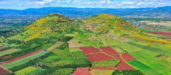 Cosa vedere a Dalat - La città dei fiori in Vietnam