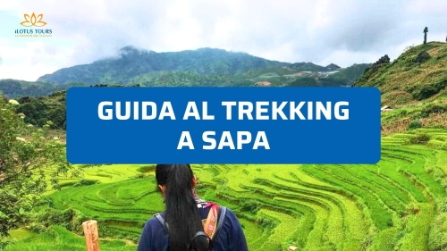 Guida al Trekking a Sapa 2026: Itinerari tra i Villaggi Etnici e le Risaie a Terrazza