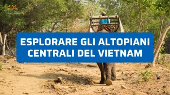 Esplorare gli Altopiani Centrali (Tay Nguyen): Il Vietnam Fuori dai Sentieri Battuti