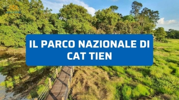 Visitare il Parco Nazionale di Cat Tien: Trekking e Avvistamento di Animali Notturni