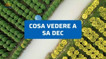 Cosa Vedere a Sa Dec: La Città dell'Amante di Marguerite Duras sul Delta del Mekong