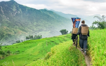 Trekking a Sapa: Evita 6 errori comuni per un viaggio perfetto