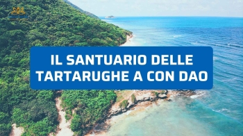 Turismo Responsabile in Vietnam: Visitare il Santuario delle Tartarughe Marine a Con Dao