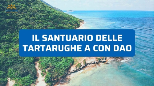Turismo Responsabile in Vietnam: Visitare il Santuario delle Tartarughe Marine a Con Dao