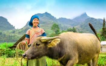 Vietnam ad agosto: cosa da fare e vedere