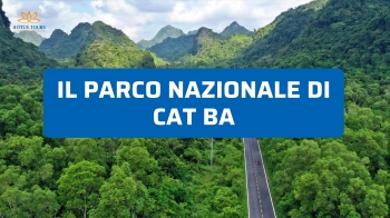 Parco nazionale di Cat Ba: sentieri, grotte e natura da esplorare