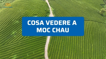 Cosa vedere a Moc Chau: colline di tè, cascate e villaggi autentici
