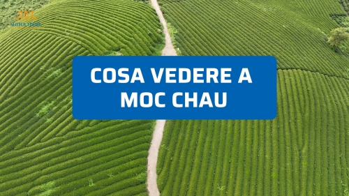 Cosa vedere a Moc Chau: colline di tè, cascate e villaggi autentici