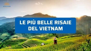 Le Più Belle Risaie del Vietnam 2026: Dove e Quando Vedere lo Spettacolo Verde