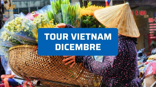 Tour Vietnam dicembre: itinerari, clima e consigli utili