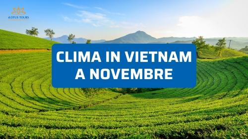 Clima in Vietnam a novembre: temperature, piogge e consigli utili