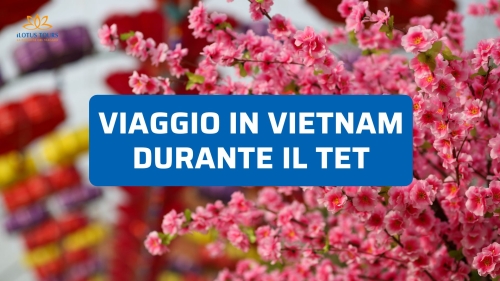 Viaggio in Vietnam durante il Capodanno lunare: cosa aspettarsi
