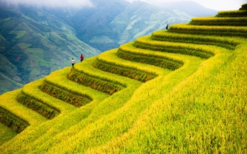 Viaggiare in Vietnam ad Agosto: clima, cosa fare e consigli essenziali