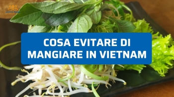Cosa evitare di mangiare in Vietnam: consigli pratici dai viaggiatori