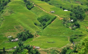 Periodo migliore per visitare il Vietnam