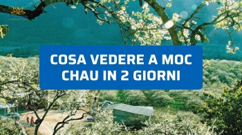 Cosa vedere a Moc Chau in 2 giorni: itinerario semplice