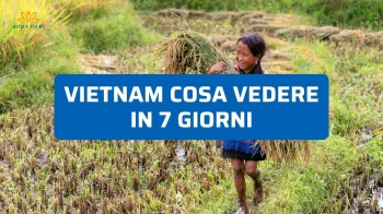 Vietnam in 7 Giorni 2026: Il Miglior Itinerario Espresso per un Viaggio Breve