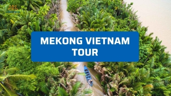 Mekong Vietnam 2026: Come Organizzare un Tour tra i Canali e i Villaggi del Sud