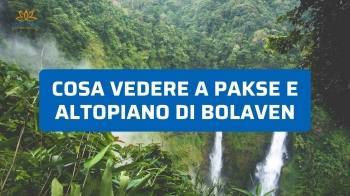 Cosa Vedere a Paksé e Altopiano di Bolaven: Il Sud del Laos tra Cascate e Caffè