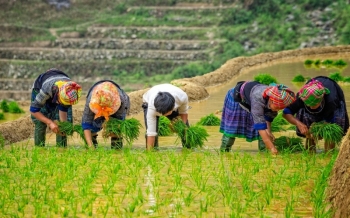 Scoprire l’autenticità di Nghia Lo