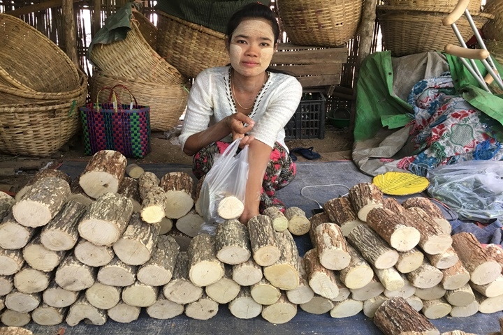 I Tesori Birmani 13 giorni